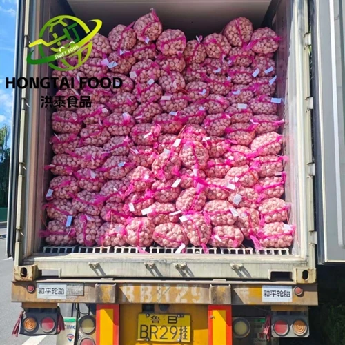 Bawang Putih Putih Normal Segar