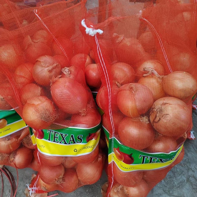 20241025090128 20241025090128