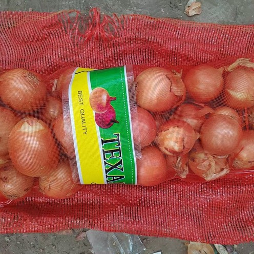 20241025090131 20241025090131